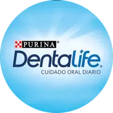 Dentalife