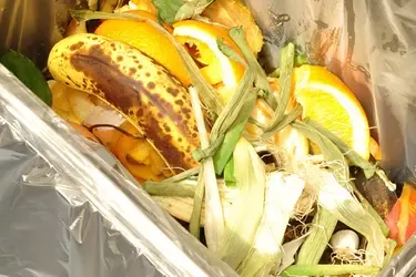 Frenar el desperdicio alimentario