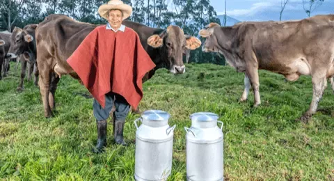 Fomento Ganadero