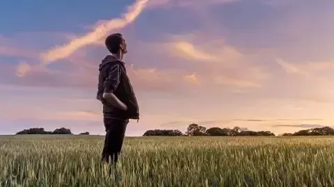 Persona observando un campo al amanecer