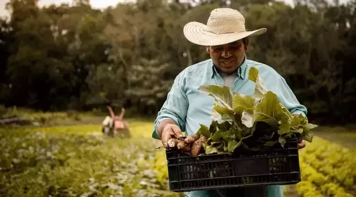Agricultor cargando vegetales del campo
