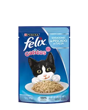 Felix Producto