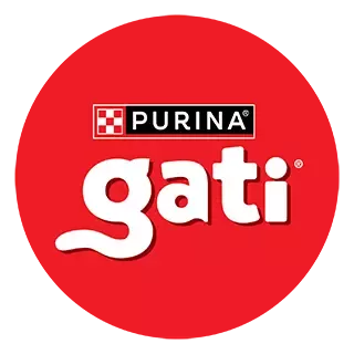 Gati