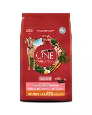 Purina One Producto