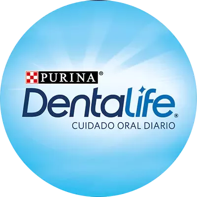 Dentalife